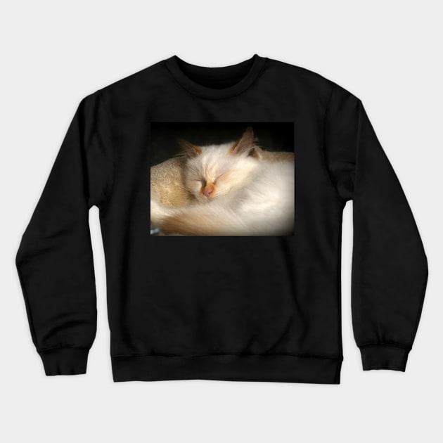 Dreaming Of Mice Perhaps? Crewneck Sweatshirt by AlexaZari